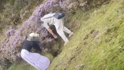 两游客在景区盗挖索玛花 警方:给予行政处罚,两人认识到错误并作郑重道歉