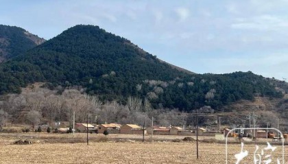 走失13年女硕士被收留?村民说法不一!男方堂哥称没有囚禁,曾登寻人启事