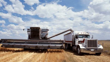 美国突然收到一封“投降书”!台湾将掏出所有家底双手奉上