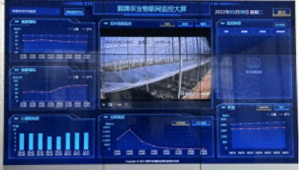 中拉农业部长论坛丨“区块链+蔬菜”,+出了什么?