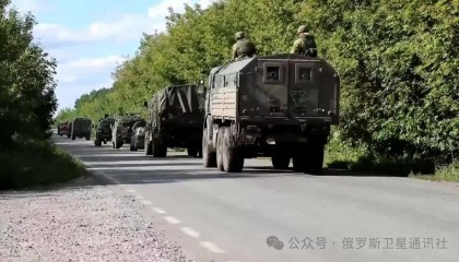 俄国防部:已解放库尔斯克地区12个定居点和超100平方公里领土