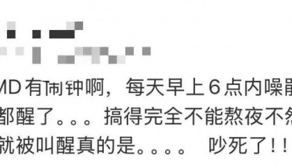 “周末想睡个懒觉都不行”,有多少深圳人被这种鸟吵到神经衰弱