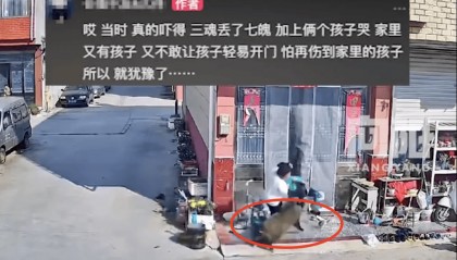 街头横冲直闯,抱娃女子被撞伤,警方:已被特警击毙