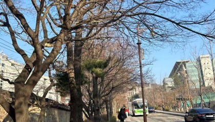 留学生搬进8平米公寓 邻居多是独居中年女性