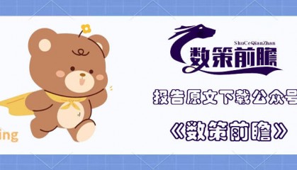 2024 版数据存储2030