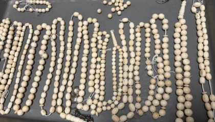 旅客违规携带密度异常的“小球”，均为象牙制品！被海关查获