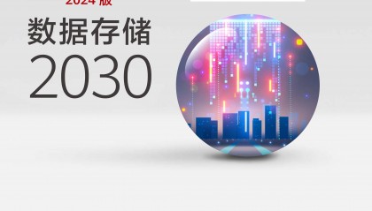 数据存储2030（2024版）