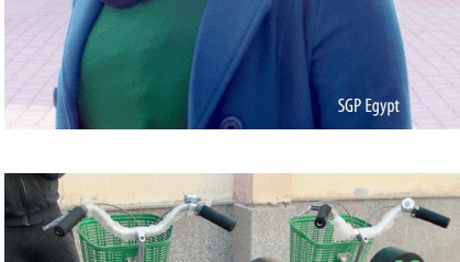 GEF报告编译②︱从埃及、墨西哥和不丹看去中心化治理策略