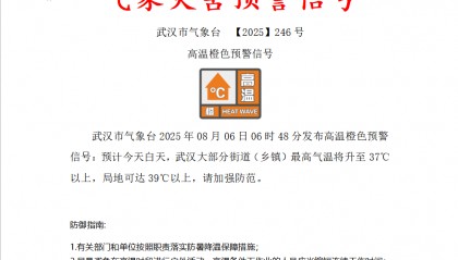 最新消息：28℃！暴雨即将抵达武汉