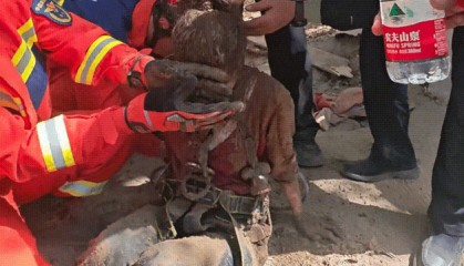 全网刷屏的女辅警为何没能转正?官方回应了!