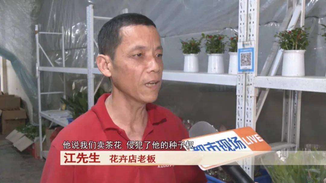 男子卖了三盆花，引来五万索赔